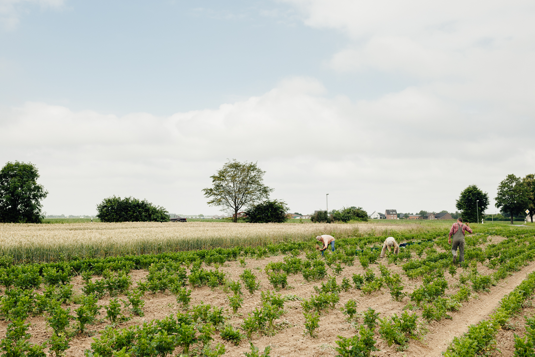 Portrait und Reportage Fotografie für Corporate und Editorial