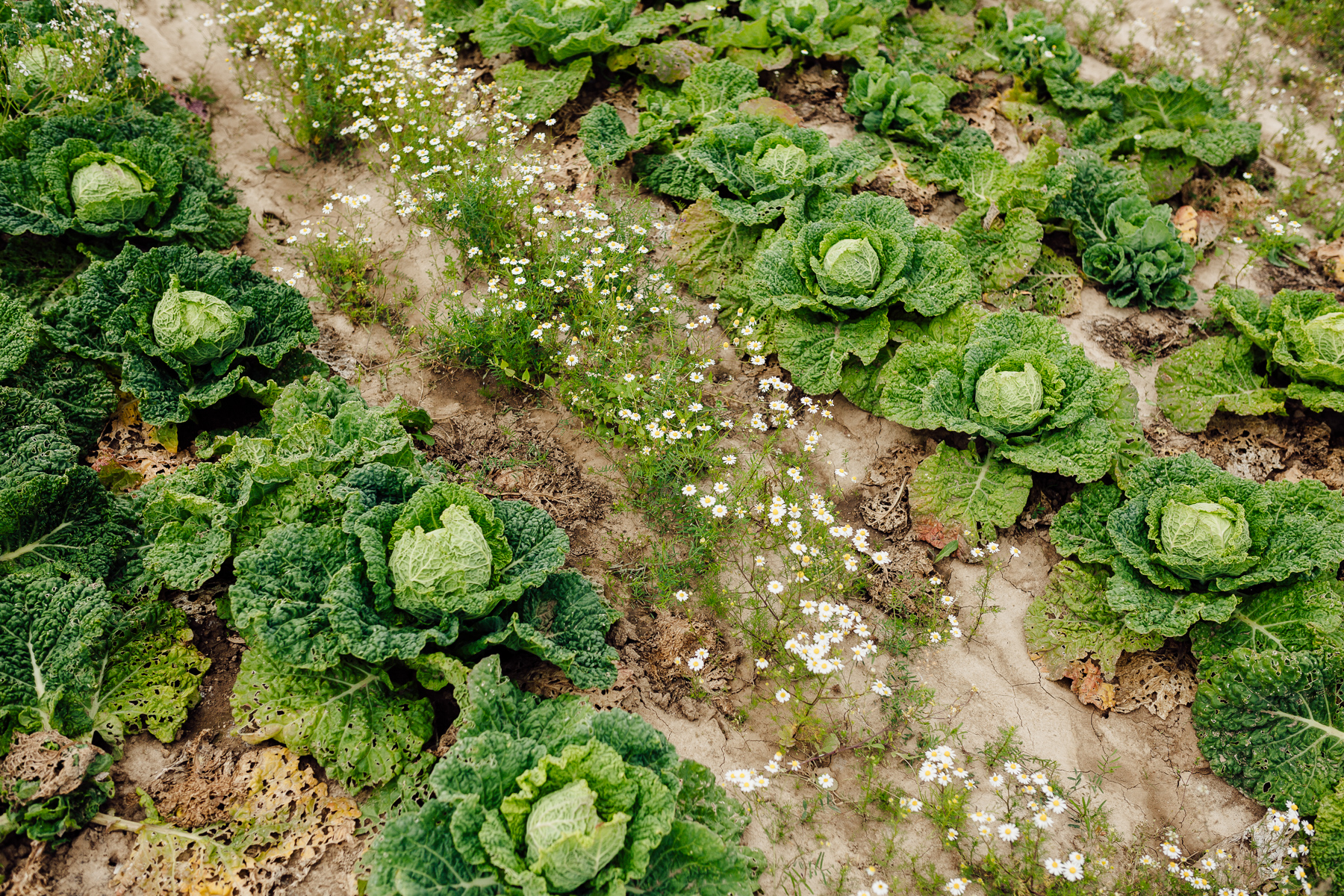 Portrait und Reportage Fotografie für Corporate und Editorial