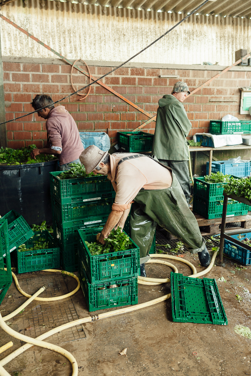 Portrait und Reportage Fotografie für Corporate und Editorial