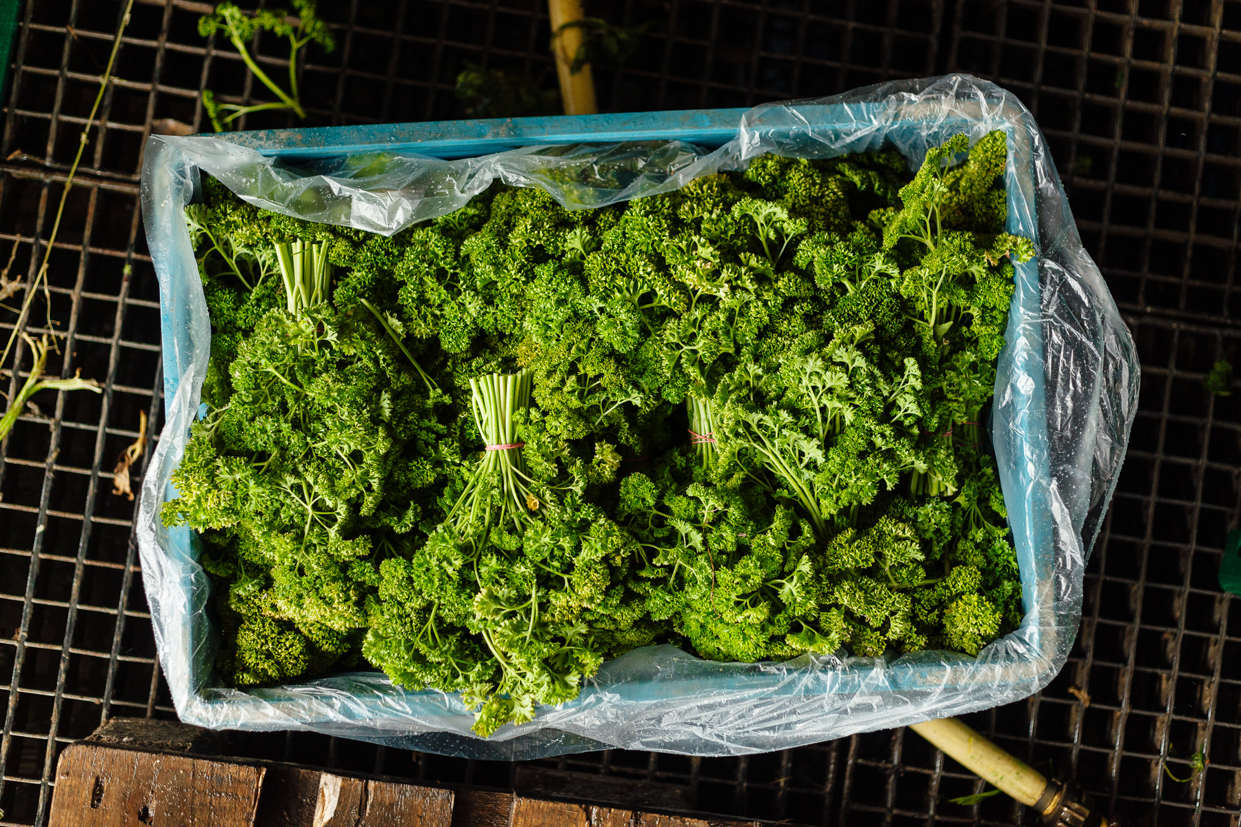 Portrait und Reportage Fotografie für Corporate und Editorial