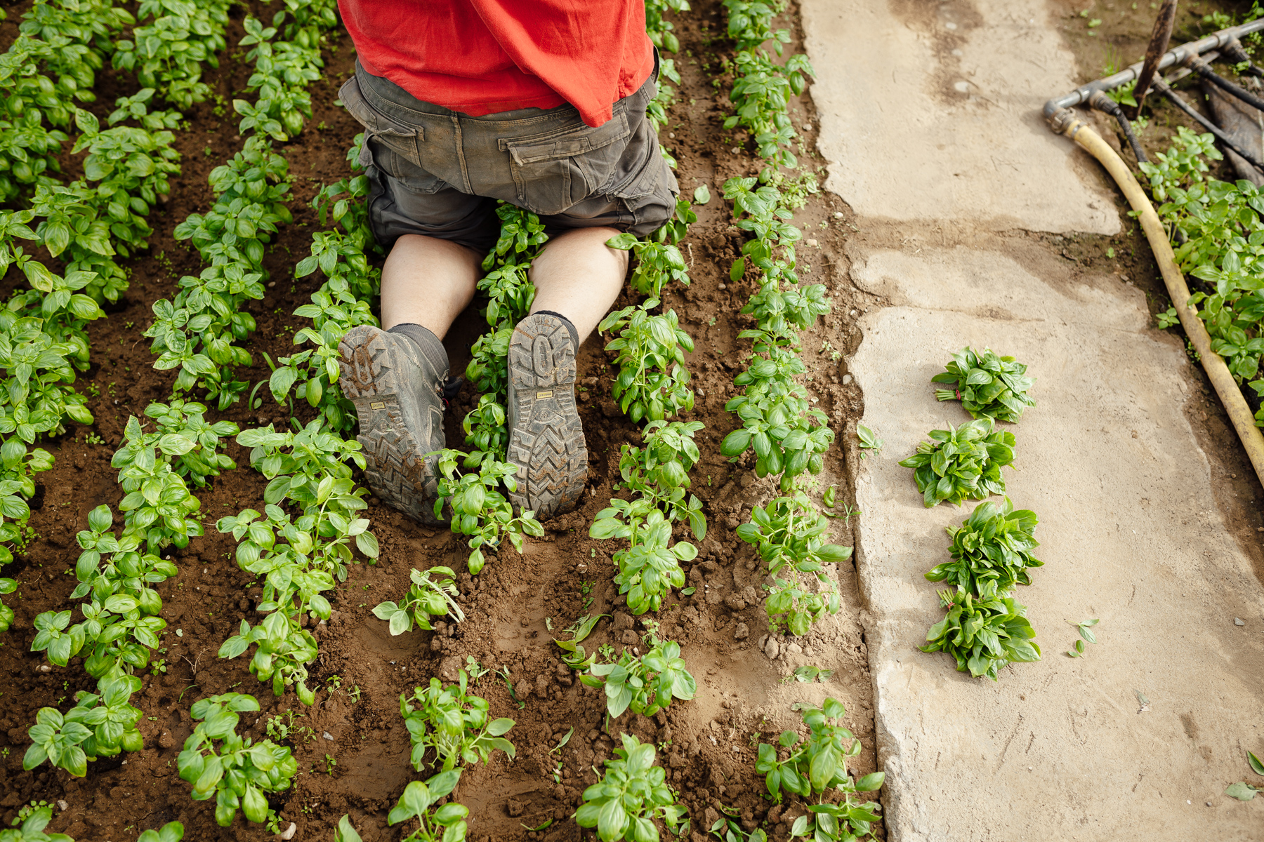 Portrait und Reportage Fotografie für Corporate und Editorial