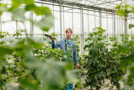  Portrait und Reportage Fotografie für Corporate und Editorial