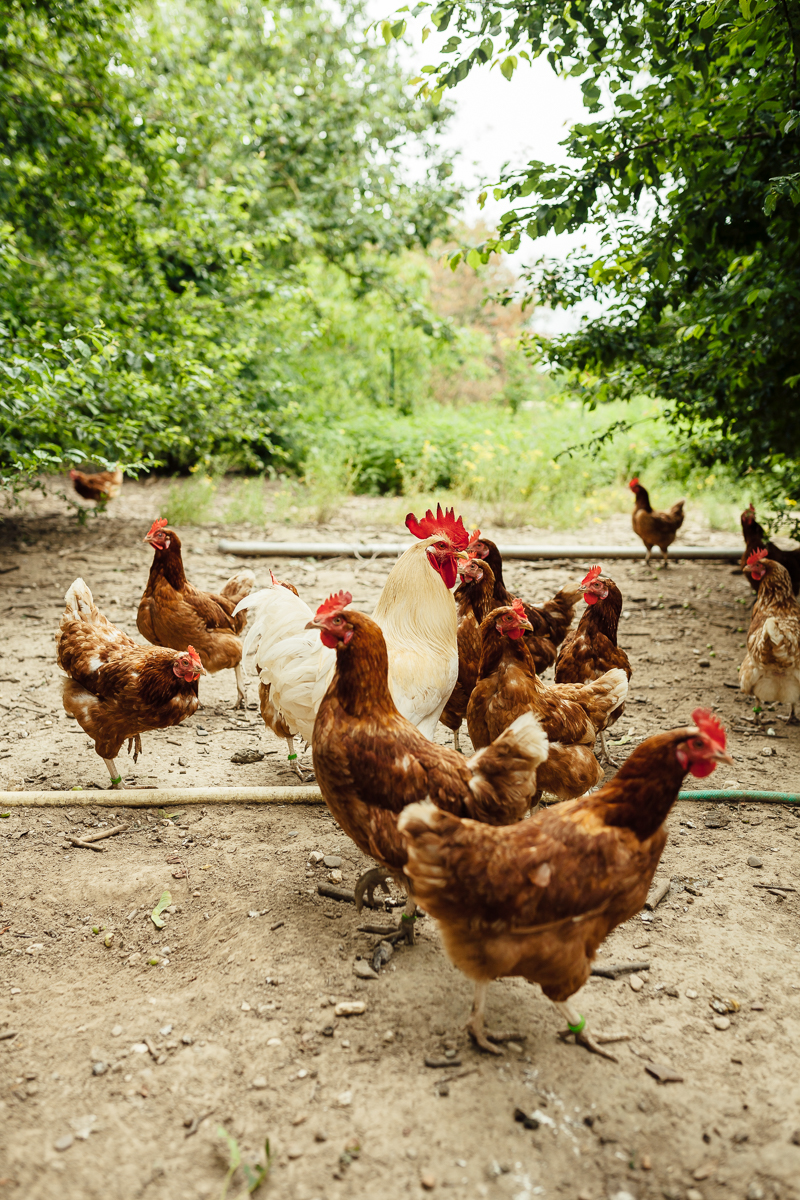 Portrait und Reportage Fotografie für Corporate und Editorial