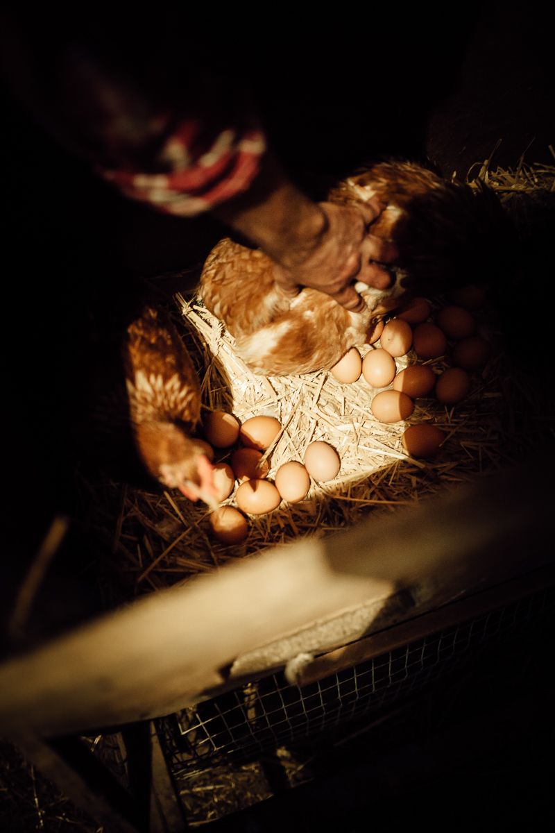 Portrait und Reportage Fotografie für Corporate und Editorial