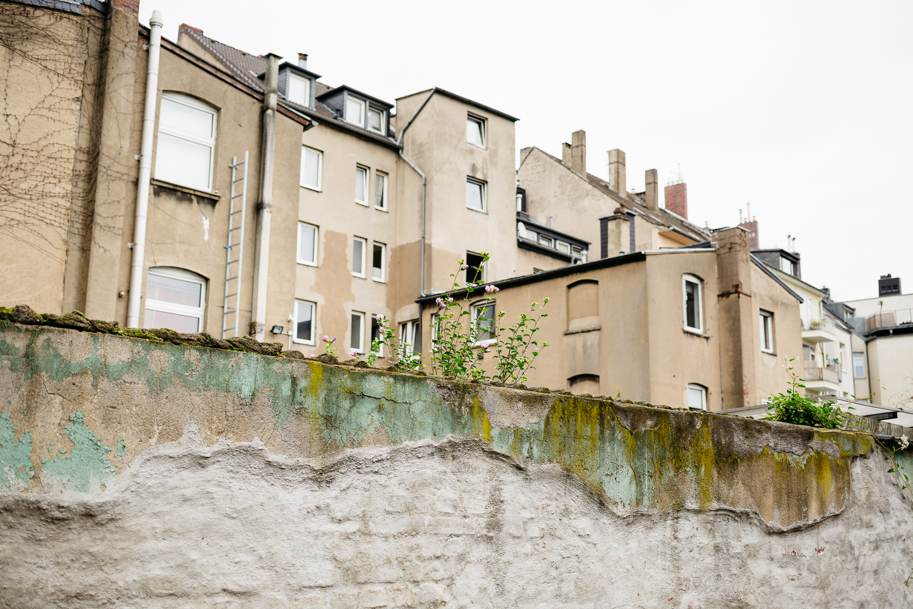 Portrait und Reportage Fotografie für Corporate und Editorial