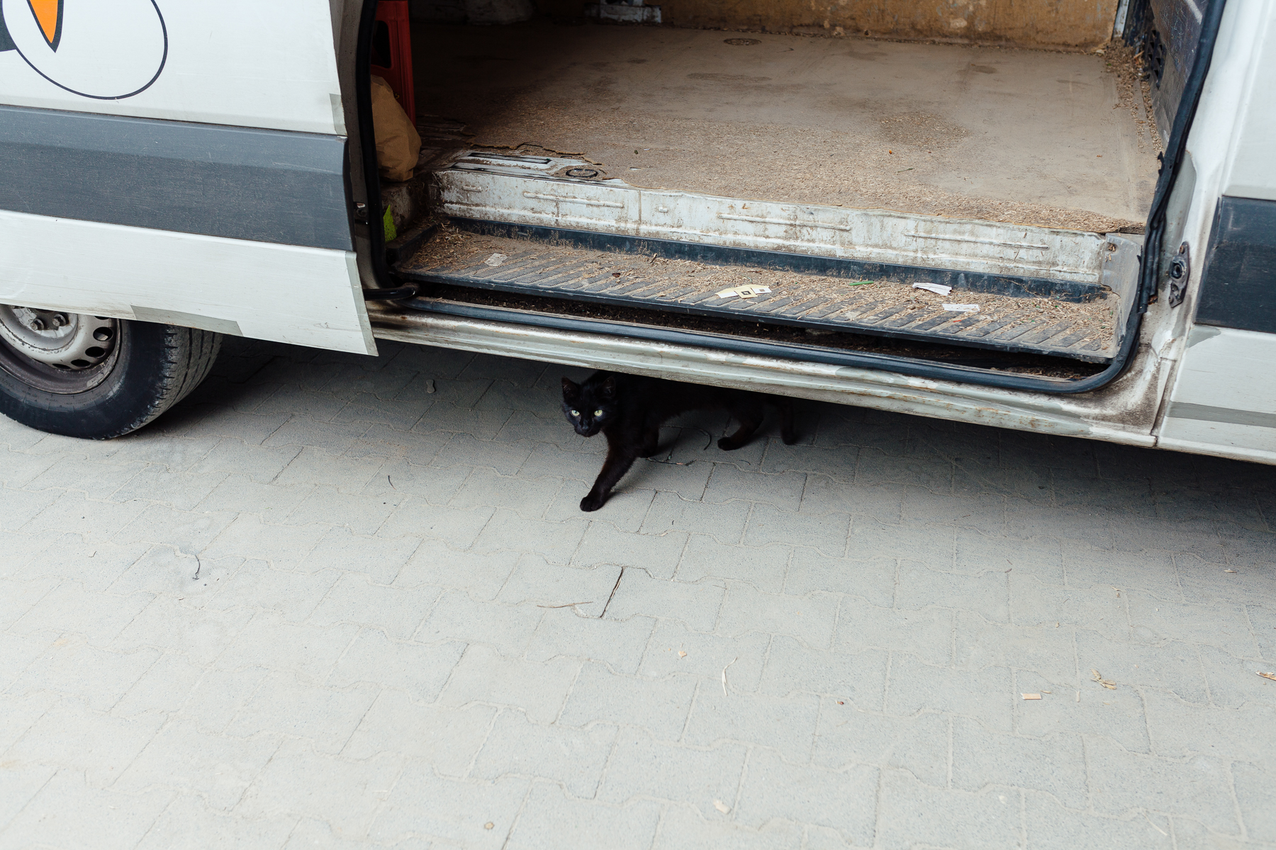 Portrait und Reportage Fotografie für Corporate und Editorial