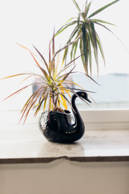  Portrait und Reportage Fotografie für Corporate und Editorial