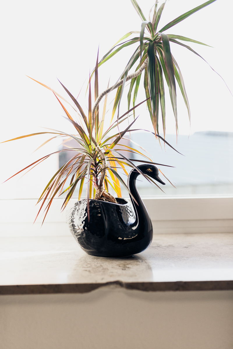 Portrait und Reportage Fotografie für Corporate und Editorial