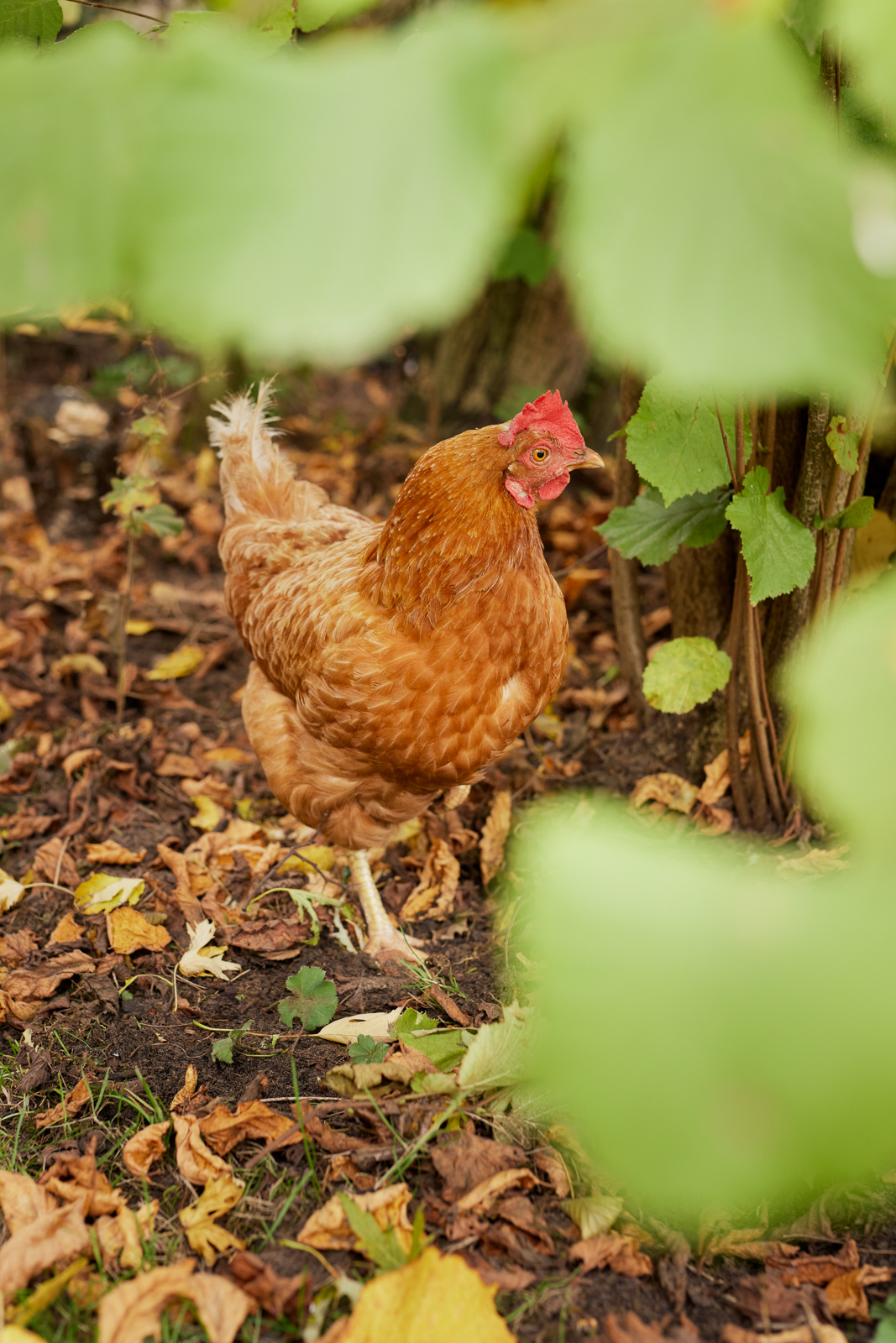 Portrait und Reportage Fotografie für Corporate und Editorial
