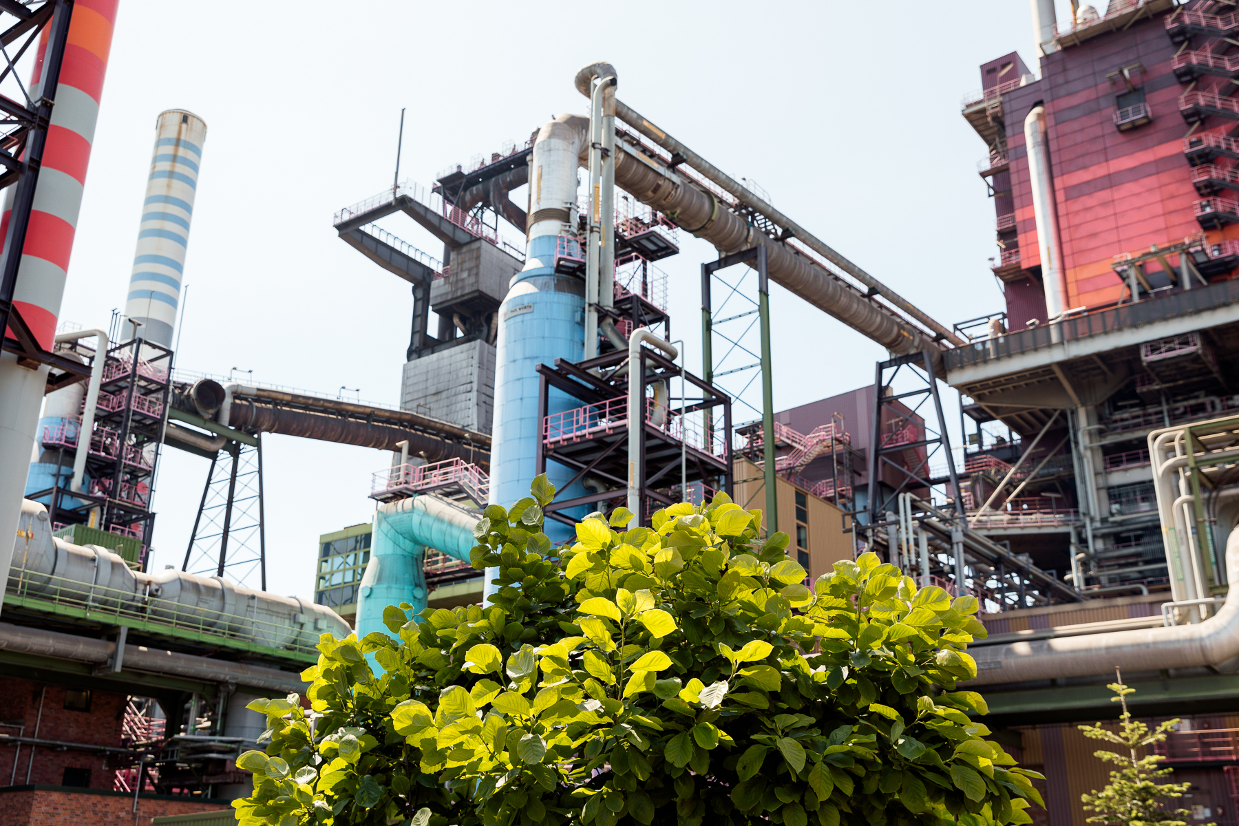 Portrait und Reportage Fotografie für Corporate und Editorial