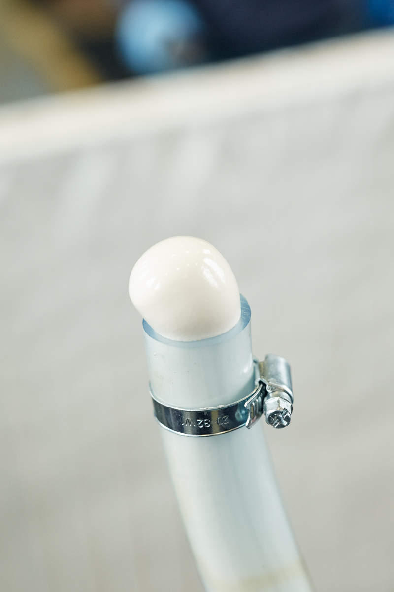 Portrait und Reportage Fotografie für Corporate und Editorial