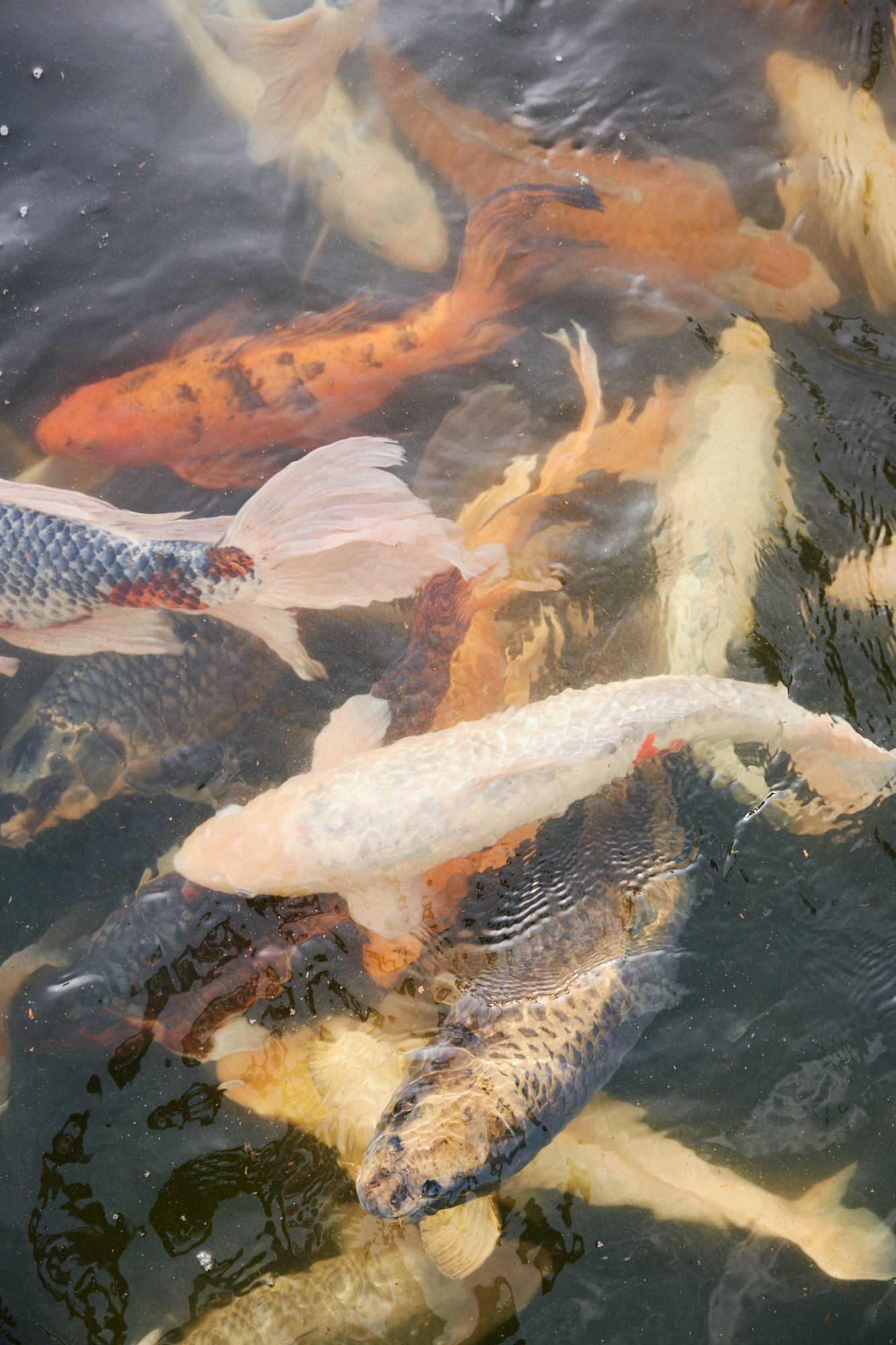 Portrait und Reportage Fotografie für Corporate und Editorial