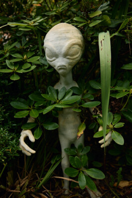  Portrait und Reportage Fotografie für Corporate und Editorial