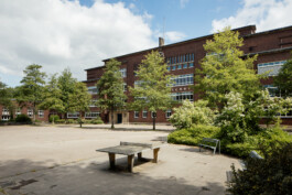  Portrait und Reportage Fotografie für Corporate und Editorial