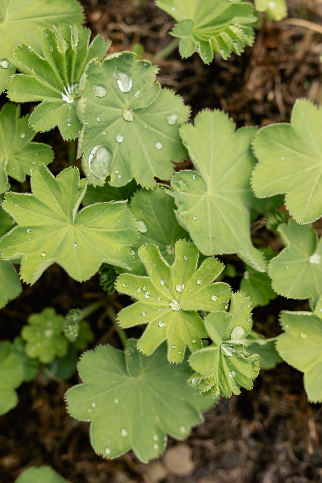 Portrait und Reportage Fotografie für Corporate und Editorial