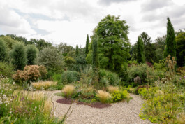  Portrait und Reportage Fotografie für Corporate und Editorial