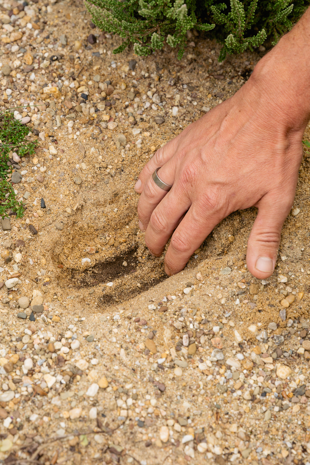 Portrait und Reportage Fotografie für Corporate und Editorial