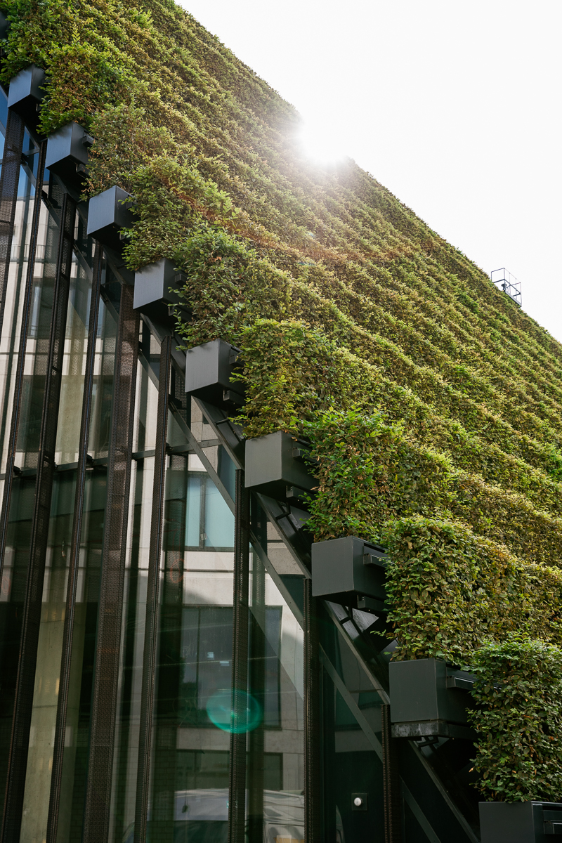 Portrait und Reportage Fotografie für Corporate und Editorial