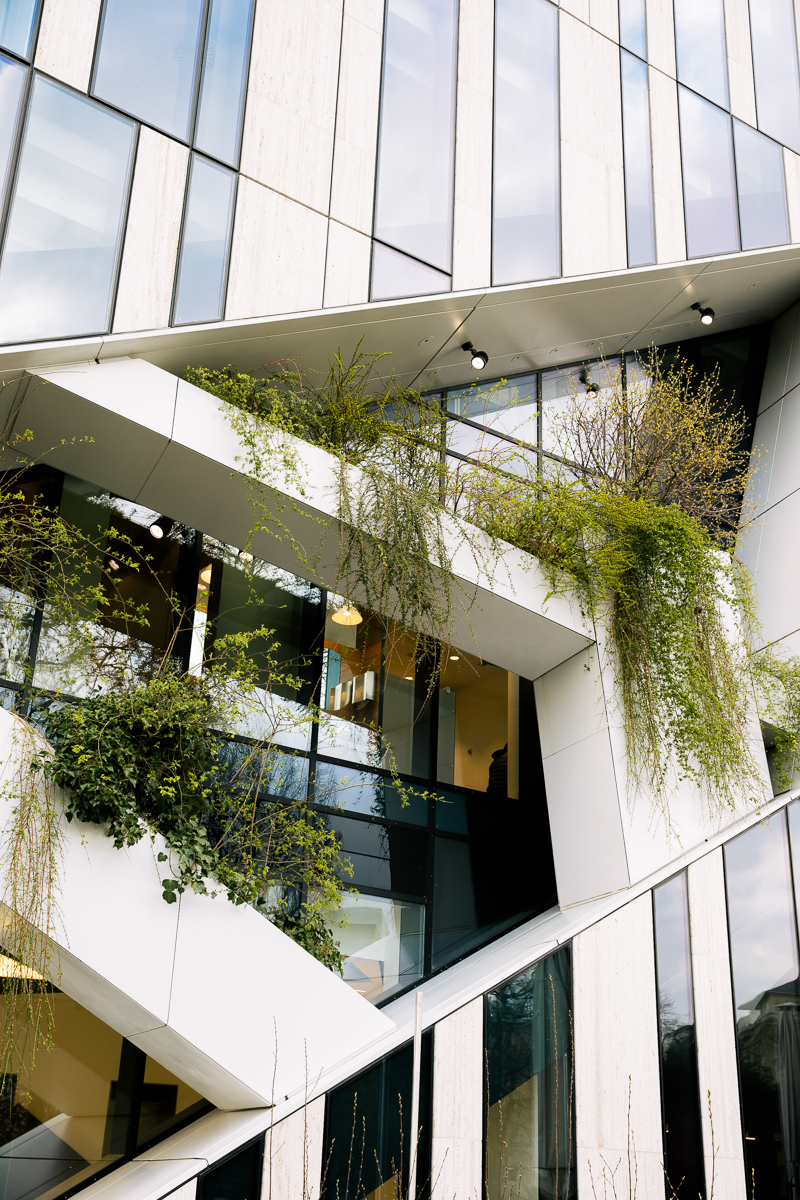 Portrait und Reportage Fotografie für Corporate und Editorial