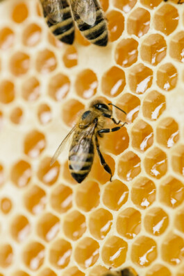  Portrait und Reportage Fotografie für Corporate und Editorial