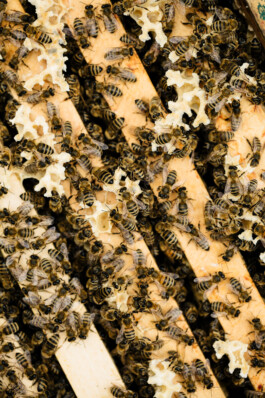  Portrait und Reportage Fotografie für Corporate und Editorial