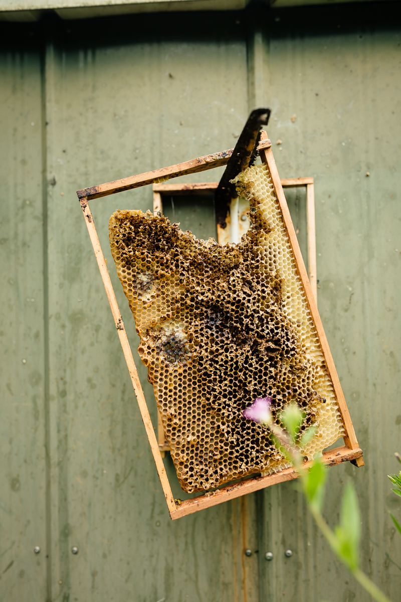 Portrait und Reportage Fotografie für Corporate und Editorial