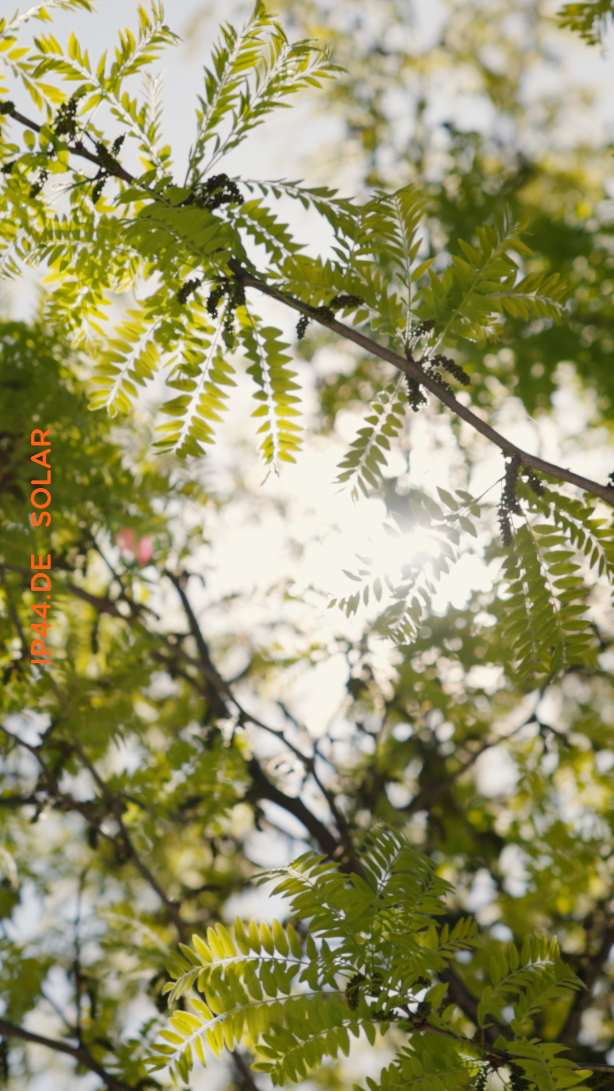 Portrait und Reportage Fotografie für Corporate und Editorial